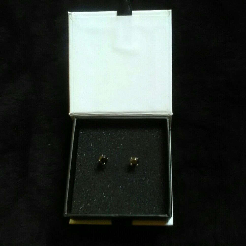 Silver Plated 1/4 ct Red Black Garnet Earrings.